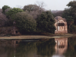 LE PARC DE RANTHAMBORE