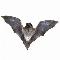 Logo Chauves-souris