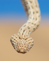 BITIS