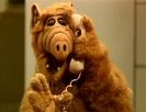 alf