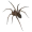 Image Animalia