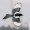 Image Corvidae