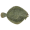 Image Pleuronectiformes