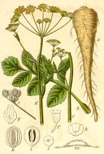 PANAIS