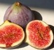 figues