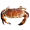 Image Crustacea