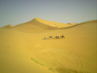 desert-expedition