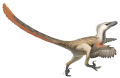 VÉLOCIRAPTOR