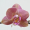 Image Orchidaceae