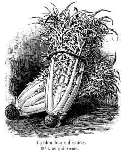 CARDON