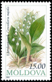 MUGUET