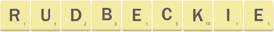 lettres de scrabbles