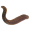 Image Annelida