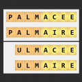 Carré (début/finale) PALMACÉE - ULMAIRE