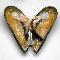 Logo Mollusques