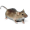 Image Rodentia