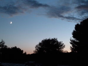 RÊVERIE SUR UNE NUIT PRÉSENTE