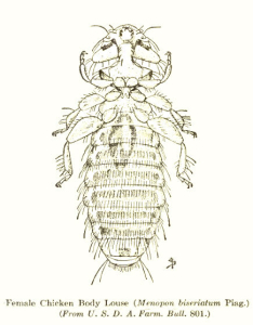MALLOPHAGE