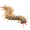 Image Myriapoda