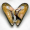 Image Mollusca