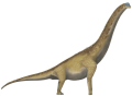 BRACHIOSAURE