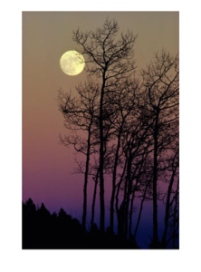 La lune blanche luit dans les bois