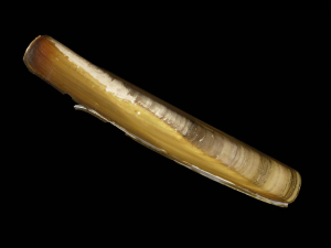 COUTEAU