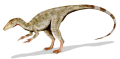 COMPSOGNATHUS