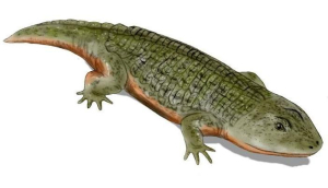 STÉRÉOSPONDYLE