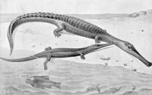 TÉLÉOSAURE