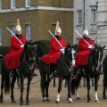 HORSEGUARD