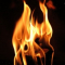 Logo Feu