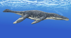 PLIOSAURE