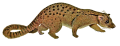 NANDINIE