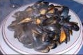 moules