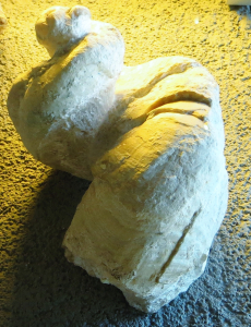 RUDISTE