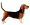 Image Canidae