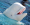 Image Cetacea
