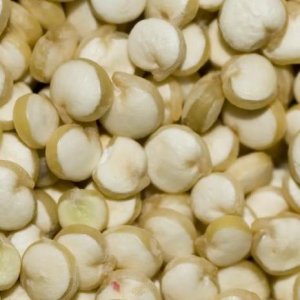 QUINOA