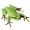 Image Amphibia