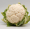 Image Brassicaceae