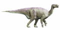 IGUANODON