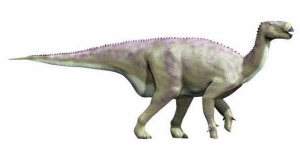 IGUANODON