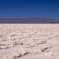 SALAR