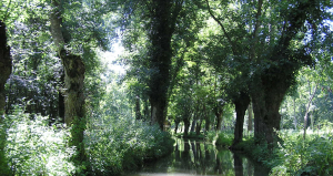 Le Marais Poitevin