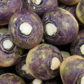 RUTABAGA