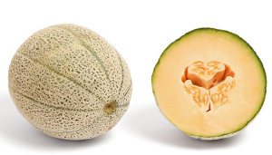 CANTALOUP