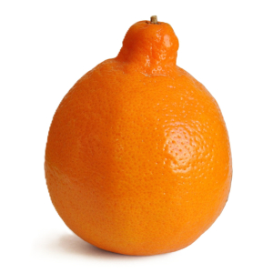 TANGELO
