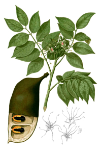 DOUSSIÉ