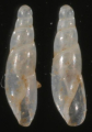 AIGUILLETTE